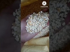 Машина для извлечения масла кукурузных зародышей